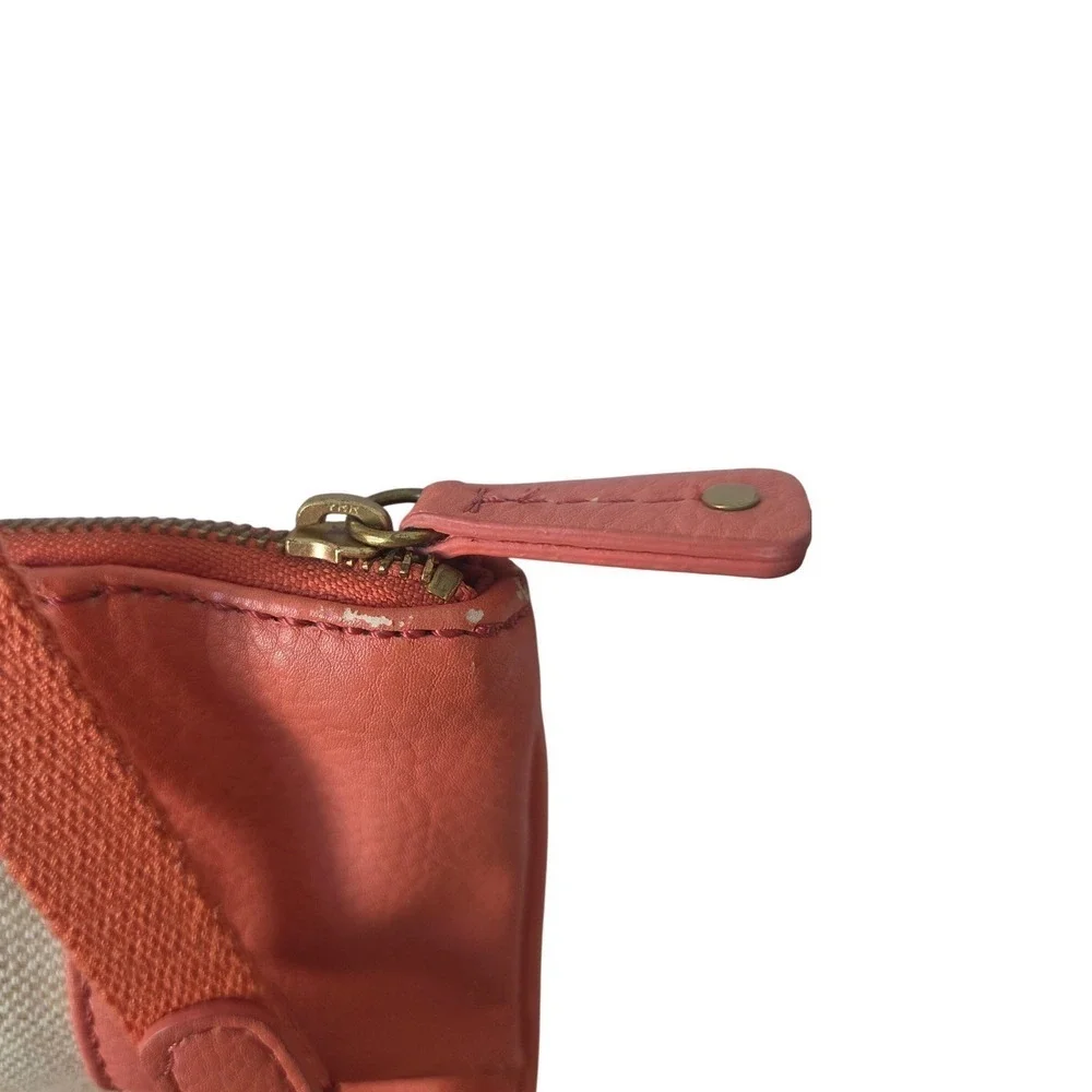 Fossil canvas leather